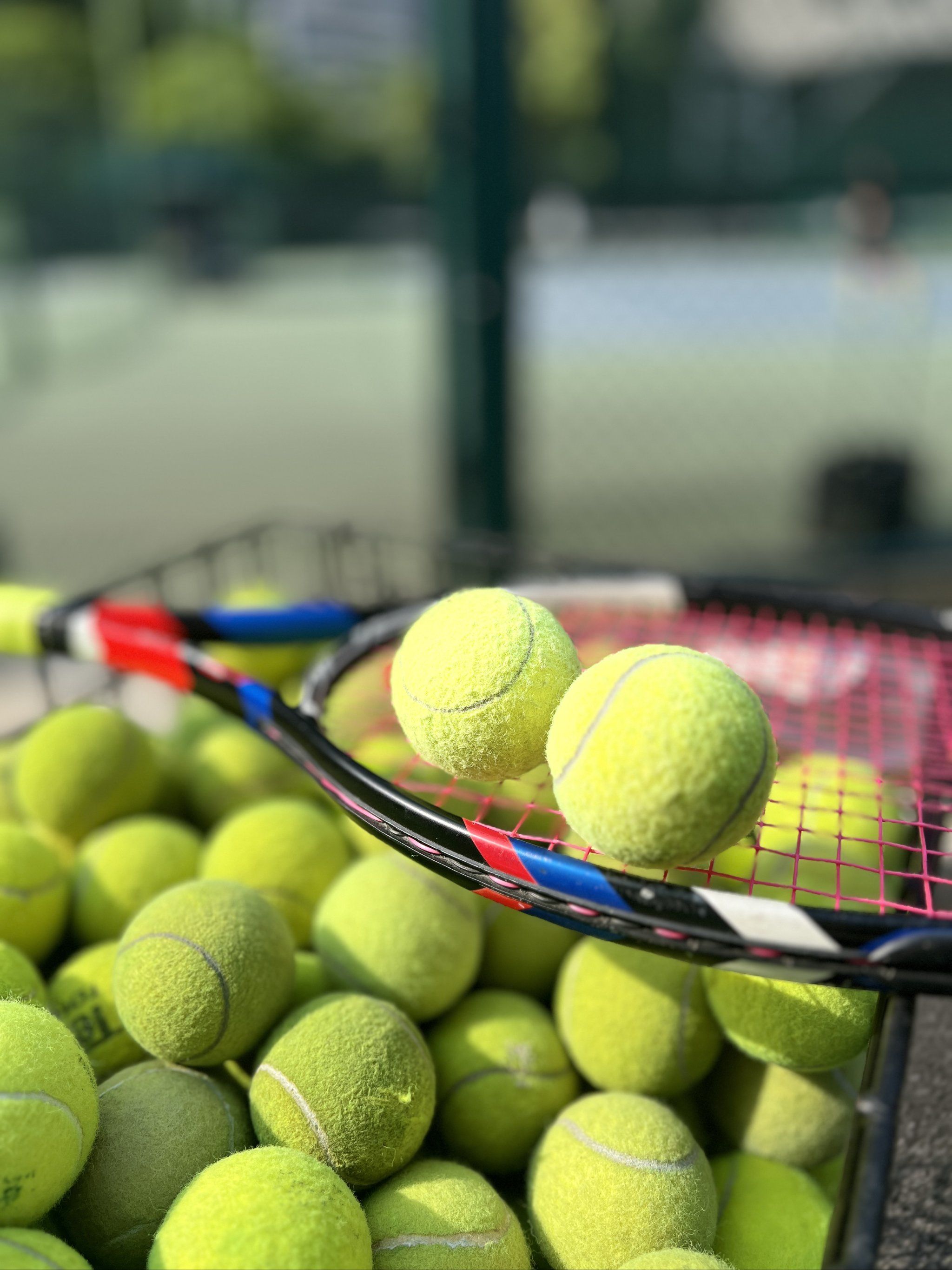 略伦特这种 略伦特这种