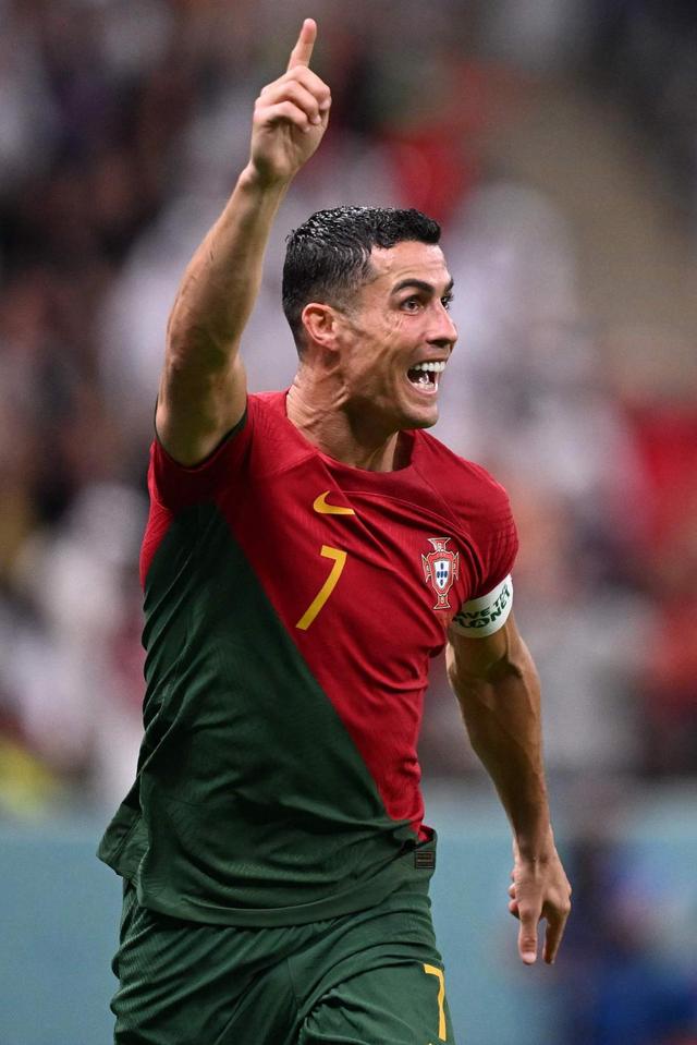 报名复购提 报名复购提